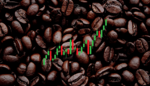 TOP 6 des meilleures actions pour investir dans le café