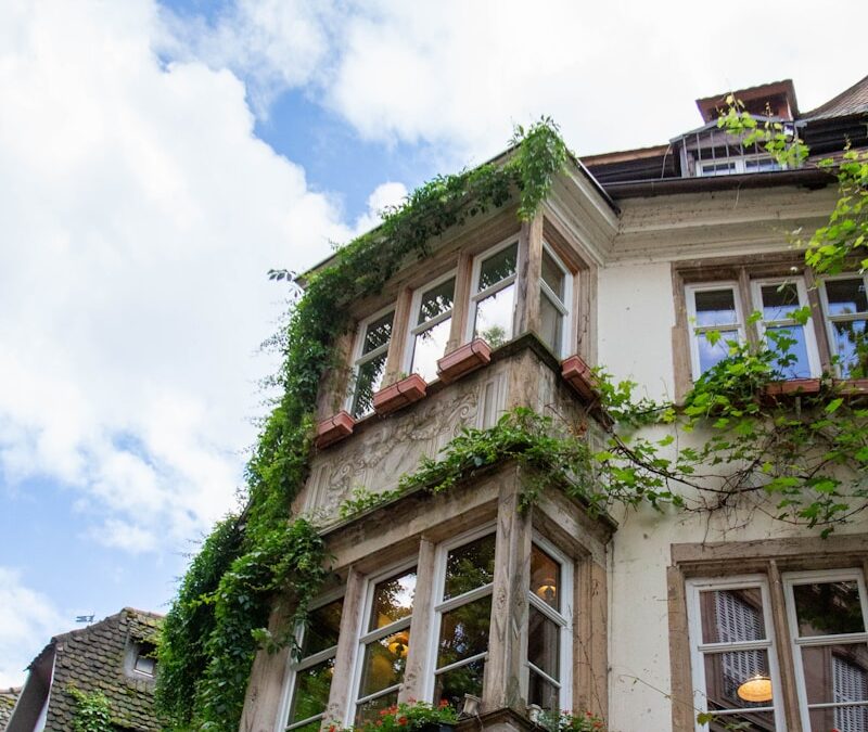 SCPI Denormandie : faut-il investir ? Notre avis